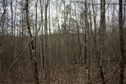 property photo for Hidden Hills Tract 39, 5.04 acres for sale in Sequatchie County, Tennessee