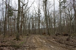 property photo for Hidden Hills Tract 4, 8.1 acres for sale in Sequatchie County, Tennessee