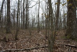 property photo for Hidden Hills Tract 4, 8.1 acres for sale in Sequatchie County, Tennessee
