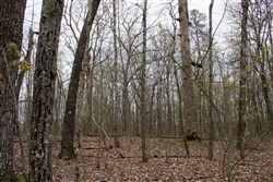 property photo for Hidden Hills Tract 4, 8.1 acres for sale in Sequatchie County, Tennessee