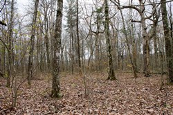 property photo for Hidden Hills Tract 4, 8.1 acres for sale in Sequatchie County, Tennessee