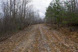 property photo for Hidden Hills Tract 40, 13.23 acres for sale in Sequatchie County, Tennessee