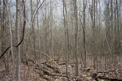 property photo for Hidden Hills Tract 40, 13.23 acres for sale in Sequatchie County, Tennessee
