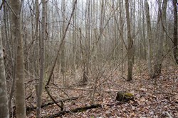 property photo for Hidden Hills Tract 40, 13.23 acres for sale in Sequatchie County, Tennessee
