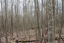 property photo for Hidden Hills Tract 40, 13.23 acres for sale in Sequatchie County, Tennessee