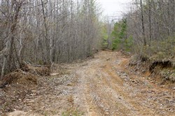 property photo for Hidden Hills Tract 41, 10.71 acres for sale in Sequatchie County, Tennessee