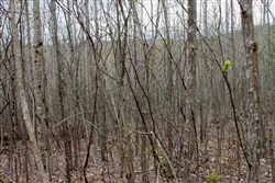 property photo for Hidden Hills Tract 41, 10.71 acres for sale in Sequatchie County, Tennessee