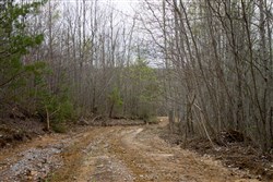 property photo for Hidden Hills Tract 41, 10.71 acres for sale in Sequatchie County, Tennessee