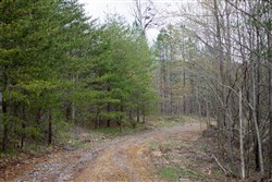property photo for Hidden Hills Tract 42, 13.74 acres for sale in Sequatchie County, Tennessee