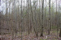 property photo for Hidden Hills Tract 42, 13.74 acres for sale in Sequatchie County, Tennessee