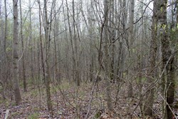 property photo for Hidden Hills Tract 42, 13.74 acres for sale in Sequatchie County, Tennessee