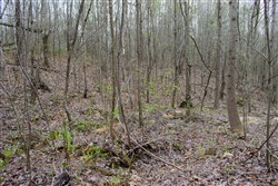 property photo for Hidden Hills Tract 42, 13.74 acres for sale in Sequatchie County, Tennessee