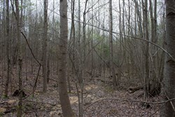 property photo for Hidden Hills Tract 42, 13.74 acres for sale in Sequatchie County, Tennessee