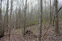 property photo for Hidden Hills Tract 42, 13.74 acres for sale in Sequatchie County, Tennessee