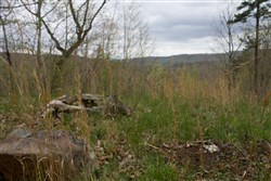 property photo for Hidden Hills Tract 43, 9.13 acres for sale in Sequatchie County, Tennessee