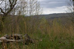 property photo for Hidden Hills Tract 43, 9.13 acres for sale in Sequatchie County, Tennessee