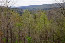 property photo for Hidden Hills Tract 43, 9.13 acres for sale in Sequatchie County, Tennessee