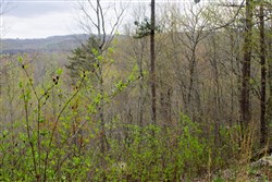 property photo for Hidden Hills Tract 43, 9.13 acres for sale in Sequatchie County, Tennessee
