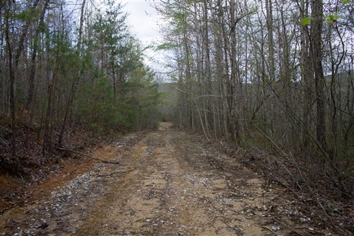 Hidden Hills Tract 44