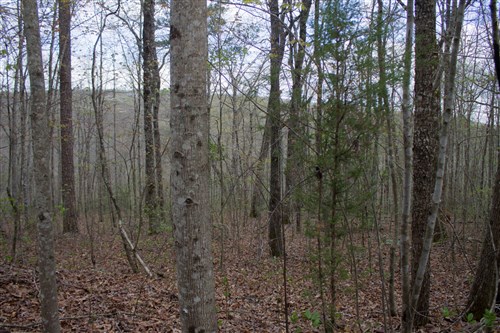 Hidden Hills Tract 44