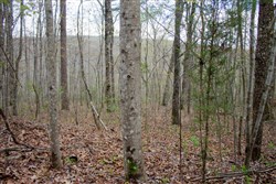 Hidden Hills Tract 44