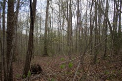 Hidden Hills Tract 44