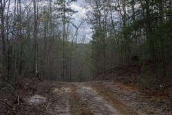 Hidden Hills Tract 44