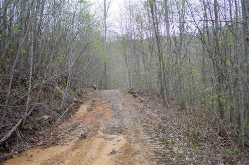 Hidden Hills Tract 45