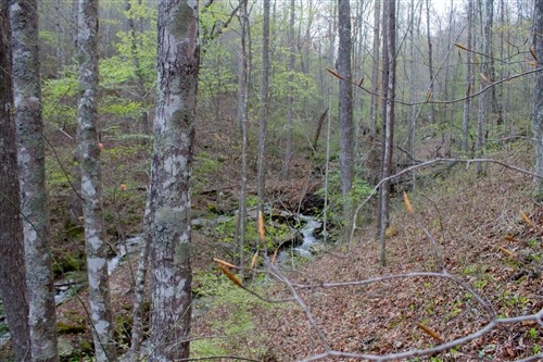 Hidden Hills Tract 45