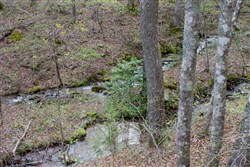 Hidden Hills Tract 45