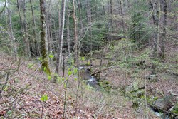 Hidden Hills Tract 45