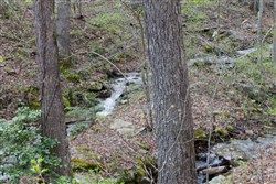 Hidden Hills Tract 45