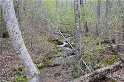 property photo for Hidden Hills Tract 46, 6.92 acres for sale in Sequatchie County, Tennessee