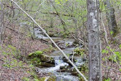property photo for Hidden Hills Tract 46, 6.92 acres for sale in Sequatchie County, Tennessee