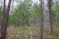 property photo for Hidden Hills Tract 46, 6.92 acres for sale in Sequatchie County, Tennessee