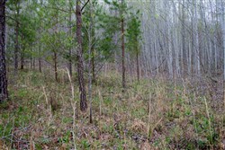 property photo for Hidden Hills Tract 46, 6.92 acres for sale in Sequatchie County, Tennessee