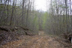 property photo for Hidden Hills Tract 47, 7.21 acres for sale in Sequatchie County, Tennessee