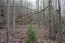 property photo for Hidden Hills Tract 47, 7.21 acres for sale in Sequatchie County, Tennessee