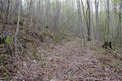 property photo for Hidden Hills Tract 47, 7.21 acres for sale in Sequatchie County, Tennessee