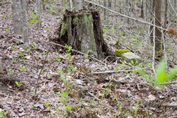 property photo for Hidden Hills Tract 47, 7.21 acres for sale in Sequatchie County, Tennessee