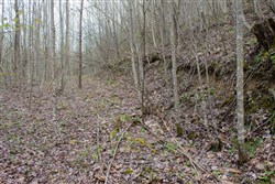 property photo for Hidden Hills Tract 47, 7.21 acres for sale in Sequatchie County, Tennessee