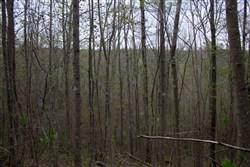 property photo for Hidden Hills Tract 48, 5.8 acres for sale in Sequatchie County, Tennessee