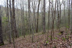 property photo for Hidden Hills Tract 48, 5.8 acres for sale in Sequatchie County, Tennessee