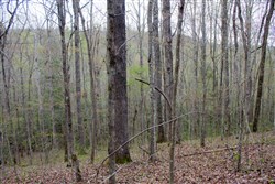 property photo for Hidden Hills Tract 48, 5.8 acres for sale in Sequatchie County, Tennessee