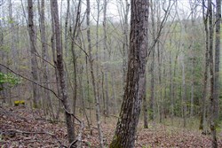 property photo for Hidden Hills Tract 48, 5.8 acres for sale in Sequatchie County, Tennessee