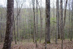 property photo for Hidden Hills Tract 48, 5.8 acres for sale in Sequatchie County, Tennessee