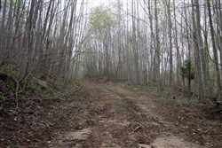 property photo for Hidden Hills Tract 49, 7.46 acres for sale in Sequatchie County, Tennessee
