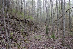 property photo for Hidden Hills Tract 49, 7.46 acres for sale in Sequatchie County, Tennessee