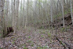 property photo for Hidden Hills Tract 49, 7.46 acres for sale in Sequatchie County, Tennessee