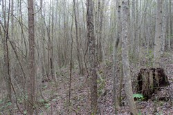 property photo for Hidden Hills Tract 49, 7.46 acres for sale in Sequatchie County, Tennessee